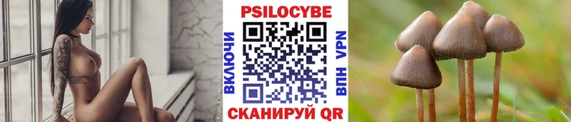 Псилоцибиновые грибы Magic Shrooms  Купить где  Навашино 